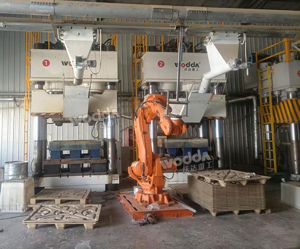 木屑托盘生产线现场 木屑托盘生产线现场